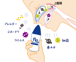 製品の特長